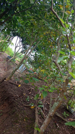 Imagem Chácara com 1 Quarto à Venda, 3 m² em Bairro Do Funíl - Piedade Imagem Chácara com 1 Quarto à Venda, 3 m² em Bairro Do Funíl - Piedade