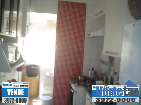 Imagem Apartamento com 3 Quartos à Venda, 58 m² em Vila Amélia - São Paulo