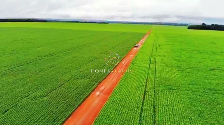 Imóvel com 3 Quartos à Venda, 90.000 m² em Jardim Primavera - Sinop