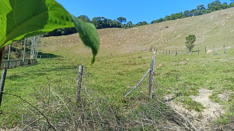 Imagem Chácara com 3 Quartos à Venda, 500 m² em Cedro - Paraibuna Imagem Chácara com 3 Quartos à Venda, 500 m² em Cedro - Paraibuna
