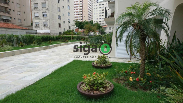 Imagem Apartamento com 3 Quartos à Venda, 85 m² em Vila Mariana - São Paulo Imagem Apartamento com 3 Quartos à Venda, 85 m² em Vila Mariana - São Paulo