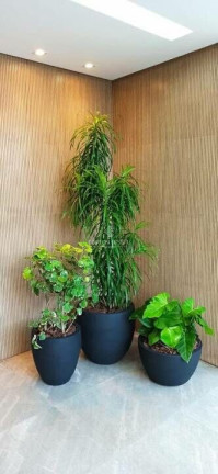 Imagem Apartamento com 4 Quartos à Venda, 144 m² em Espinheiro - Recife