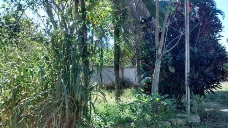 Imagem Imóvel com 5 Quartos para Alugar, 2.000 m² em Guaratiba - Rio De Janeiro
