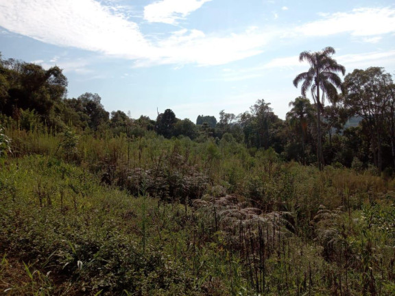 Imagem Chácara com 3 Quartos à Venda, 130.000 m² em Cantagalo - Antônio Olinto