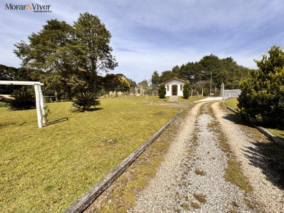 Imagem Chácara com 4 Quartos à Venda, 7.700 m² em Loteamento Chácara Chantecler - Piraquara Imagem Chácara com 4 Quartos à Venda, 7.700 m² em Loteamento Chácara Chantecler - Piraquara