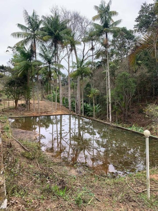 Imagem Chácara com 3 Quartos à Venda, 81 m² em Riograndina - Nova Friburgo