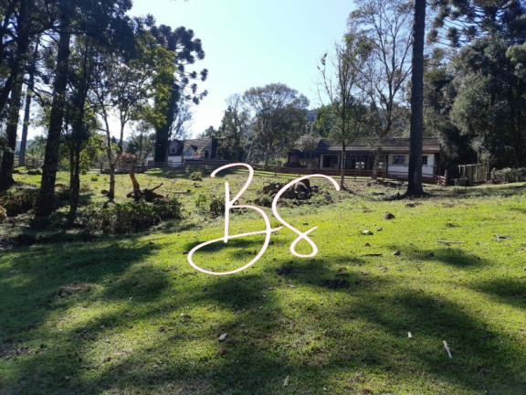 Imagem Imóvel com 2 Quartos à Venda, 15.000 m² em Linha Araripe - Gramado
