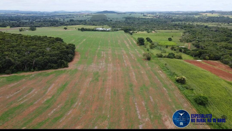 Imagem Fazenda à Venda, 30 m² em Zona Rural - Guapó