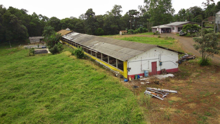 Imagem Terreno à Venda, 232.000 m² em Interior - Concórdia Imagem Terreno à Venda, 232.000 m² em Interior - Concórdia