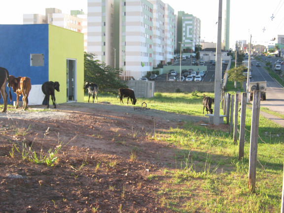 Imagem Imóvel à Venda, 74.000 m² em Parque Bela Vista - Votorantim Imagem Imóvel à Venda, 74.000 m² em Parque Bela Vista - Votorantim
