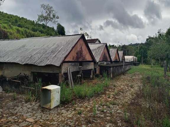 Fazenda à Venda, 10.000 m² em Taboquinhas - Itacaré