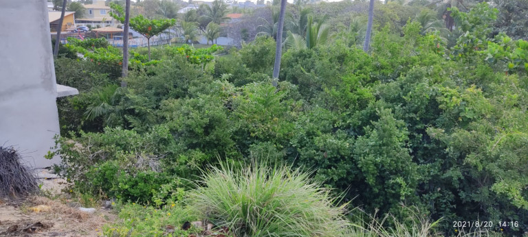 Imagem Terreno à Venda, 420 m² em Barra Do Jacuípe - Camaçari Imagem Terreno à Venda, 420 m² em Barra Do Jacuípe - Camaçari
