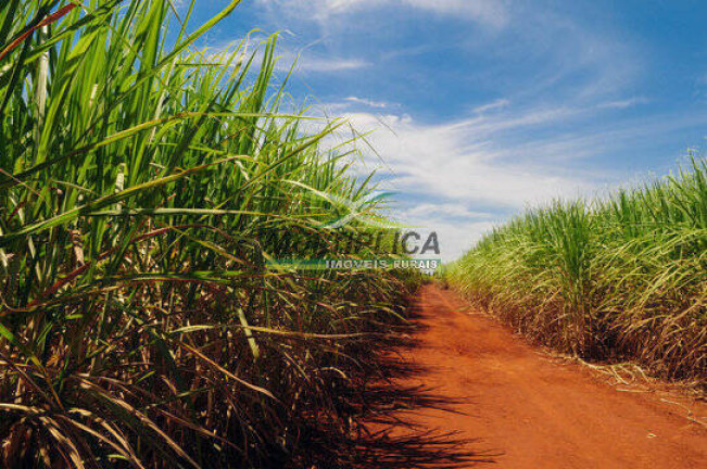 Fazenda à Venda, 343 m² em Iturama