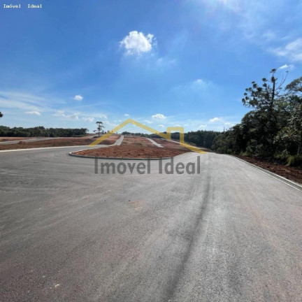 Imagem Terreno à Venda, 230 m² em Costeira - Araucária