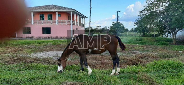 Imagem Imóvel com 4 Quartos à Venda, 180.000 m² em Não Informado - Não Informado Imagem Imóvel com 4 Quartos à Venda, 180.000 m² em Não Informado - Não Informado