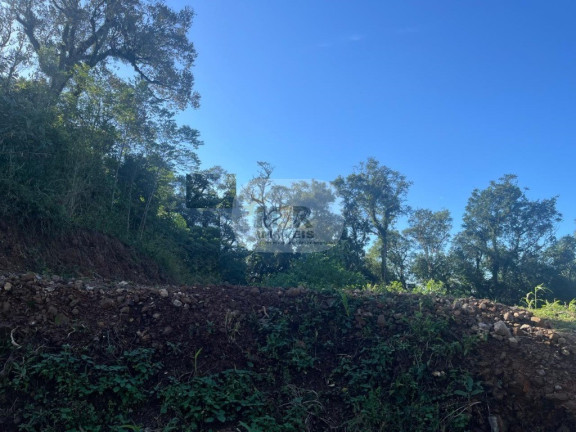 Imagem Terreno à Venda, 360 m² em Linha Olinda - Nova Petrópolis Imagem Terreno à Venda, 360 m² em Linha Olinda - Nova Petrópolis