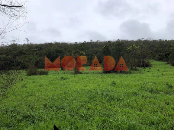 Imagem Fazenda à Venda, 10 m² em Zona Rural - Mundo Novo Imagem Fazenda à Venda, 10 m² em Zona Rural - Mundo Novo