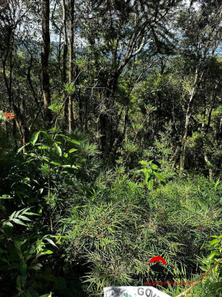 Imagem Terreno à Venda, 1 m² em Campos Do Jordão Imagem Terreno à Venda, 1 m² em Campos Do Jordão