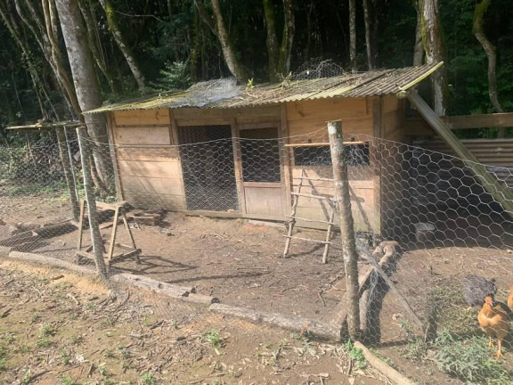 Imagem Imóvel com 3 Quartos à Venda, 32.600 m² em Colônia Retiro - Mandirituba