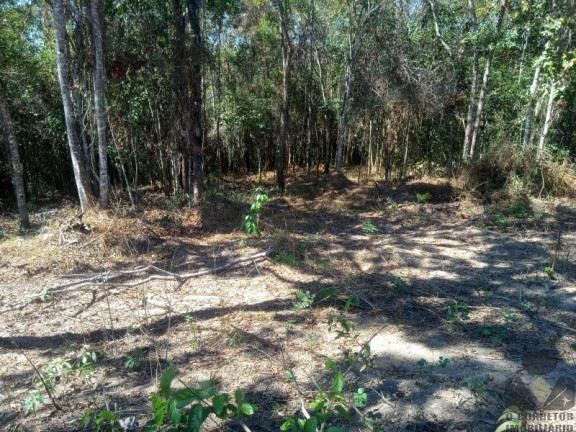 Imagem Imóvel à Venda, 20.000 m² em Roças Novas (caeté - Mg) - Caeté Imagem Imóvel à Venda, 20.000 m² em Roças Novas (caeté - Mg) - Caeté