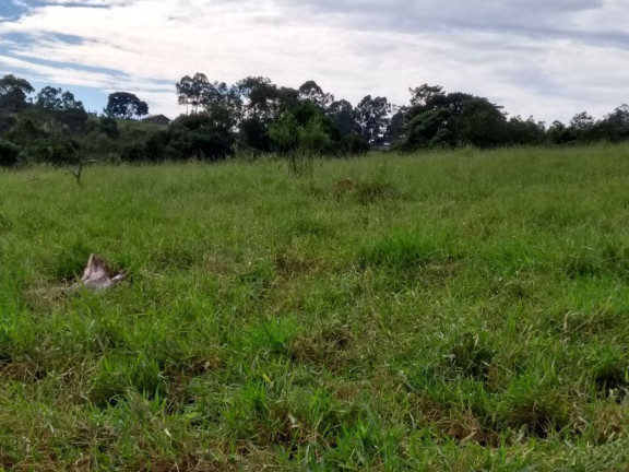 Imagem Fazenda à Venda, 76.099 m² em Bairro Itapema - Itatiba Imagem Fazenda à Venda, 76.099 m² em Bairro Itapema - Itatiba