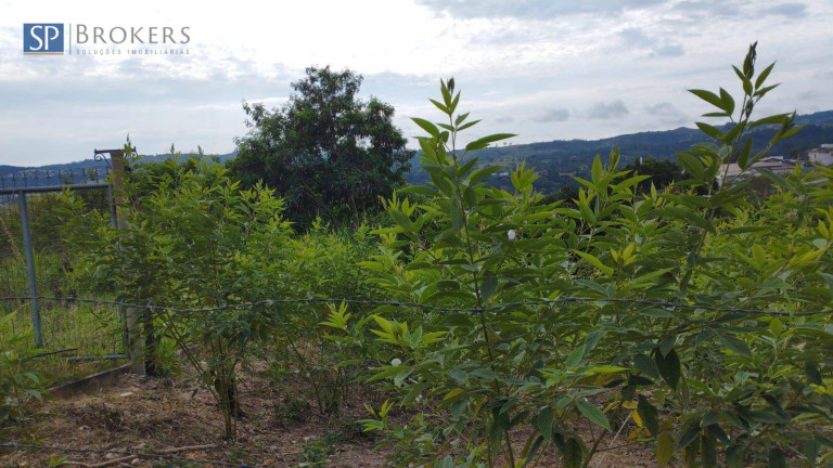 Imagem Terreno à Venda, 7.972 m² em Pinheirinho - Vinhedo