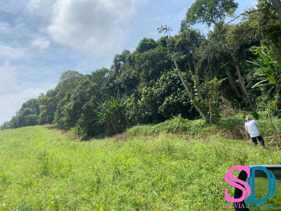 Imagem Fazenda à Venda, 194 m² em Vila Aparecida - Suzano