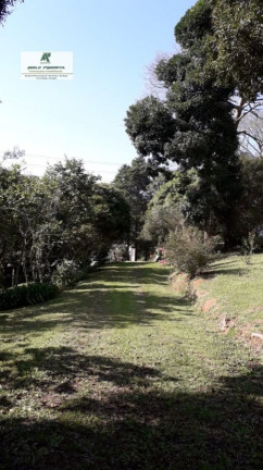 Imagem Chácara com 5 Quartos à Venda, 22.952 m² em Caetê - São Roque Imagem Chácara com 5 Quartos à Venda, 22.952 m² em Caetê - São Roque