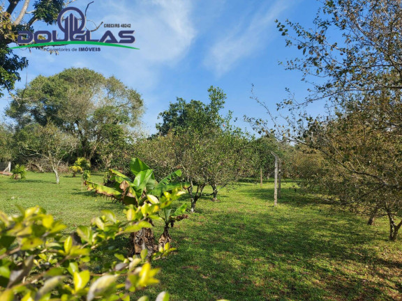 Imagem Terreno à Venda, 595 m² em águas Claras - Viamão