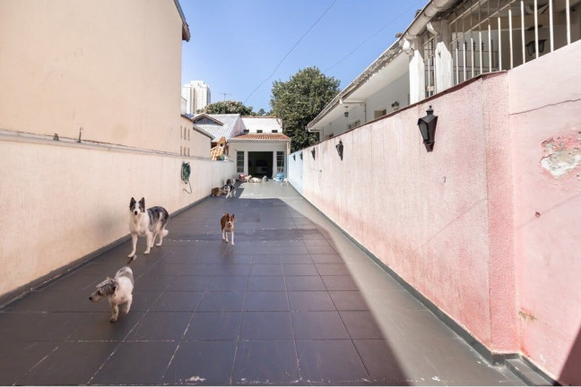 Imagem Casa com 2 Quartos à Venda, 224 m² em Campo Belo - São Paulo Imagem Casa com 2 Quartos à Venda, 224 m² em Campo Belo - São Paulo