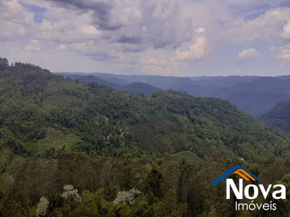Imagem Imóvel à Venda,  em Linha Olinda - Nova Petrópolis