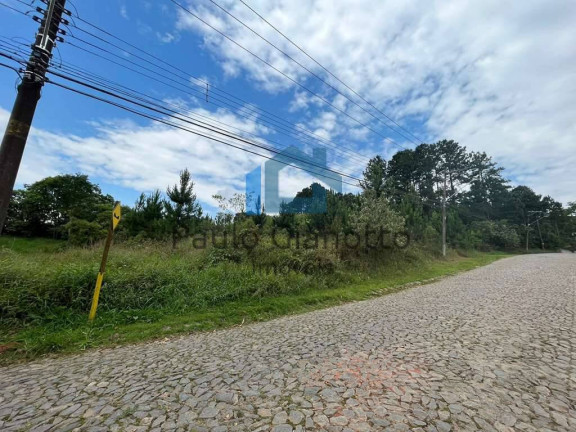 Imagem Terreno em Condomínio à Venda, 4.973 m² em Granja Viana - Cotia Imagem Terreno em Condomínio à Venda, 4.973 m² em Granja Viana - Cotia