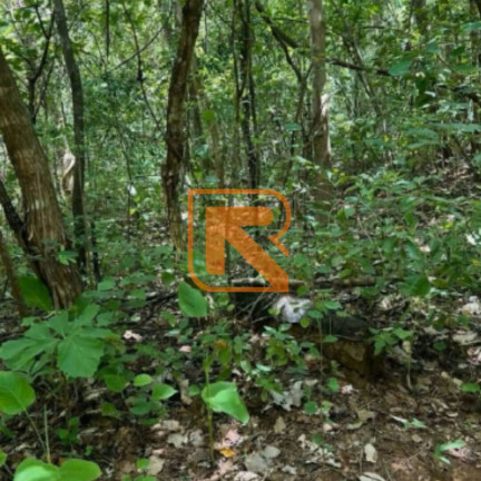 Imagem Fazenda à Venda, 1.030.000 m² em Distrito Jk - Formosa Imagem Fazenda à Venda, 1.030.000 m² em Distrito Jk - Formosa