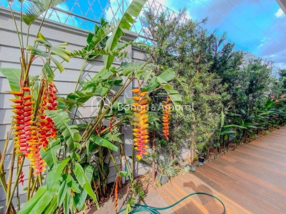 Imagem Casa de Condomínio com 3 Quartos à Venda, 384 m² em Betel - Paulínia Imagem Casa de Condomínio com 3 Quartos à Venda, 384 m² em Betel - Paulínia