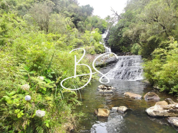 Imóvel com 2 Quartos à Venda, 20.000 m² em Urubici - Urubici