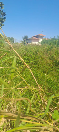 Imagem Fazenda à Venda, 1 m² em Interlagos - Vila Velha Imagem Fazenda à Venda, 1 m² em Interlagos - Vila Velha