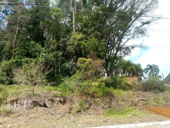 Terreno à Venda, 555 m² em Juriti - Nova Petrópolis