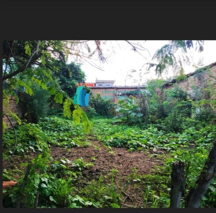 Imagem Terreno à Venda, 30 m² em Centro - Bom Jesus Da Serra Imagem Terreno à Venda, 30 m² em Centro - Bom Jesus Da Serra