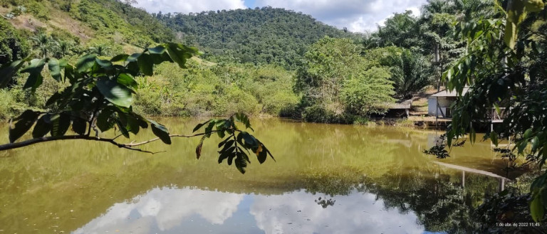 Imagem Imóvel com 2 Quartos à Venda, 45 m² em Zona Rural - Santa Leopoldina Imagem Imóvel com 2 Quartos à Venda, 45 m² em Zona Rural - Santa Leopoldina