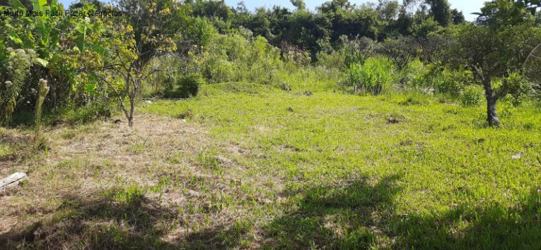 Imagem Terreno à Venda, 1.016 m² em Floresta - Picada Café