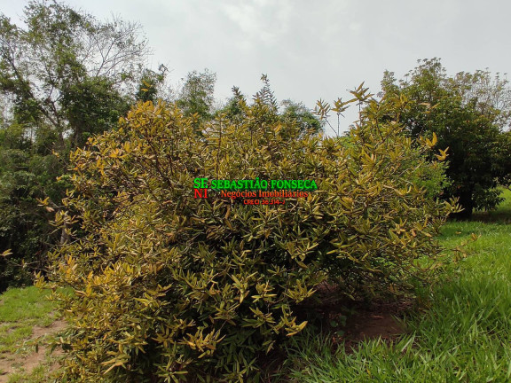 Imagem Chácara à Venda, 20.000 m² em área Rural De Caçapava - Caçapava Imagem Chácara à Venda, 20.000 m² em área Rural De Caçapava - Caçapava