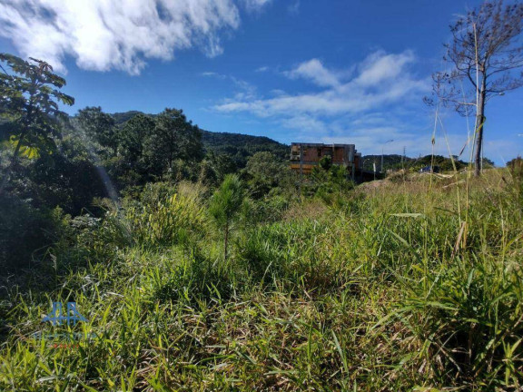Imagem Terreno à Venda, 638 m² em Itacorubi - Florianópolis