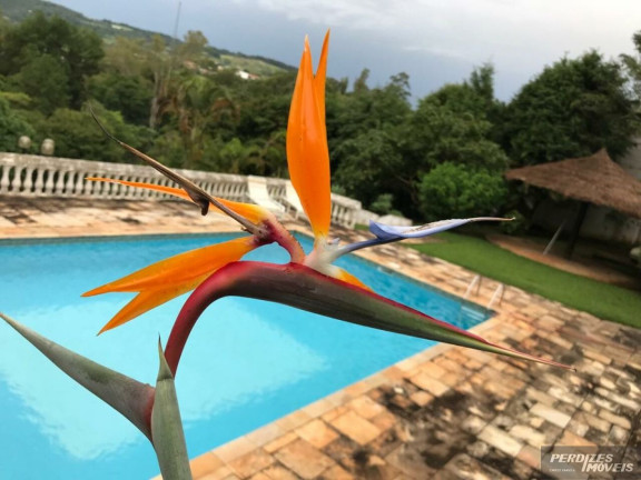 Imagem Casa com 5 Quartos à Venda, 790 m² em Portal Das Acácias - Santana De Parnaíba Imagem Casa com 5 Quartos à Venda, 790 m² em Portal Das Acácias - Santana De Parnaíba