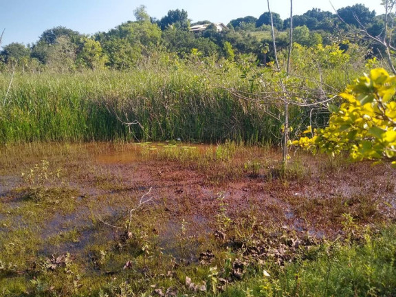 Imagem Imóvel à Venda, 874 m² em Palmeiras - Guaraparia Imagem Imóvel à Venda, 874 m² em Palmeiras - Guaraparia