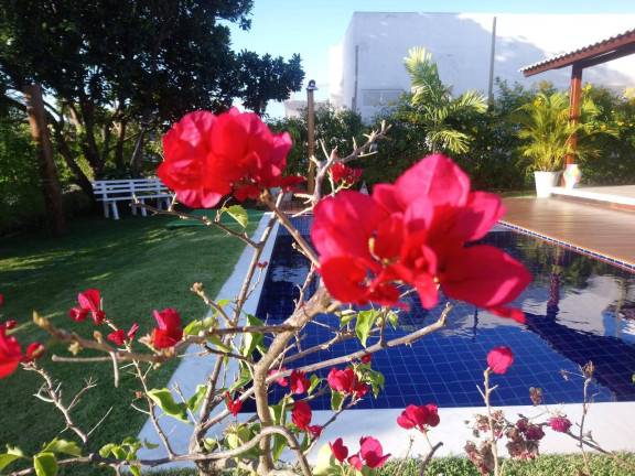 Imagem Casa com 2 Quartos à Venda, 450 m² em Praia Do Madeiro - Tibau Do Sul