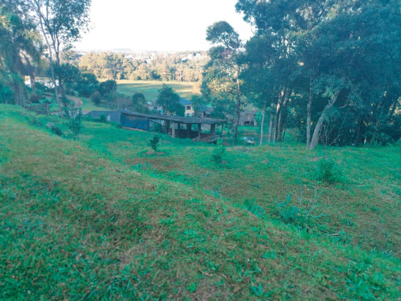 Terreno à Venda, 2.800 m² em Borghetto - Garibaldi
