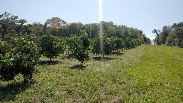 Imagem Fazenda à Venda, 555.000 m² em Sao Vicente - Araruama Imagem Fazenda à Venda, 555.000 m² em Sao Vicente - Araruama