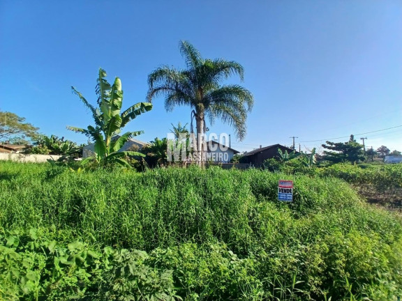 Terreno à Venda, 345 m² em Salinas - Balneário Barra Do Sul