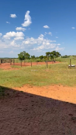 Imagem Imóvel com 3 Quartos à Venda, 1.219 m² em Zona Rural - Amambaí