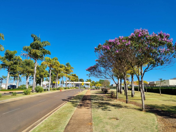 Imagem Terreno à Venda, 750 m² em Condomínio Terras Alpha Anápolis - Anápolis